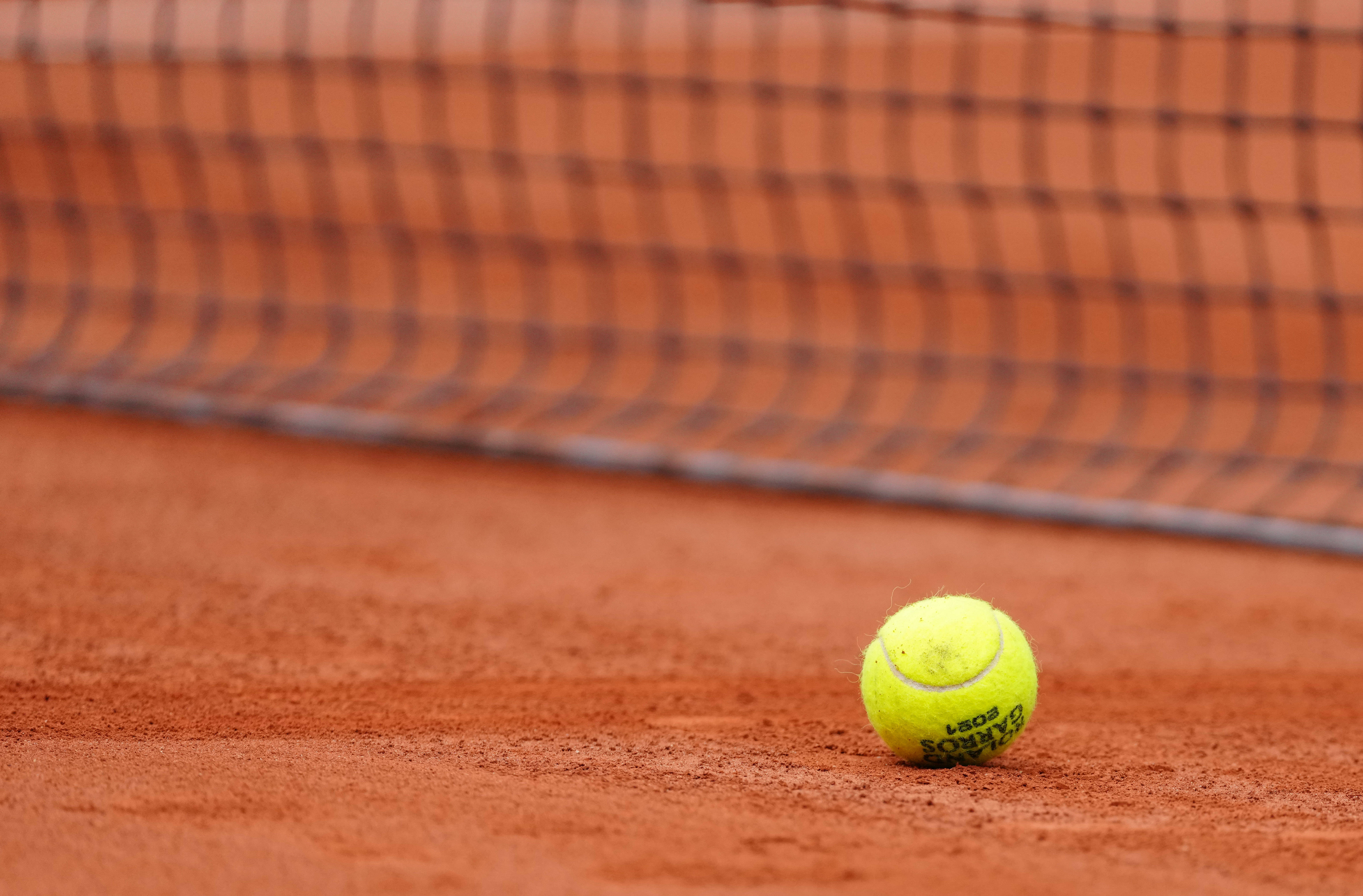 林诗栋是否 林诗栋是否