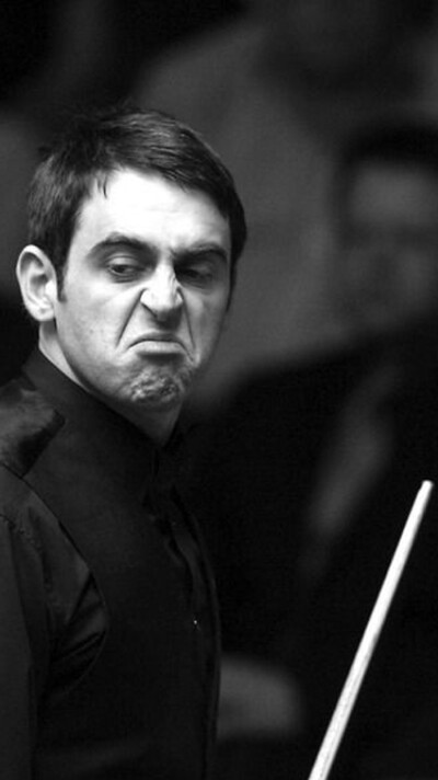 新提供了可 新提供了可